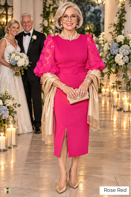 The Bellagio Portrait Appliqué Midi Dress | Rose Red | front