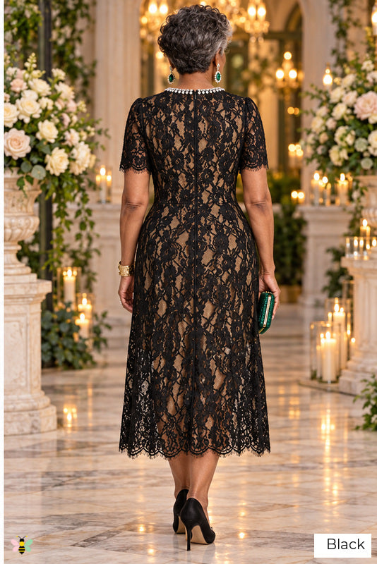 The Pearl Court Lace Midi Dress | Black | back