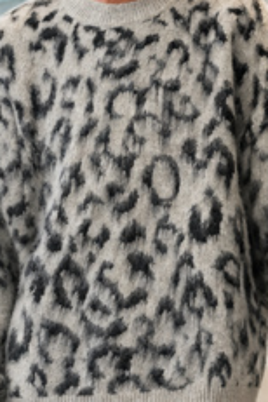 Mr B. Collection- Leopard Print Pullover