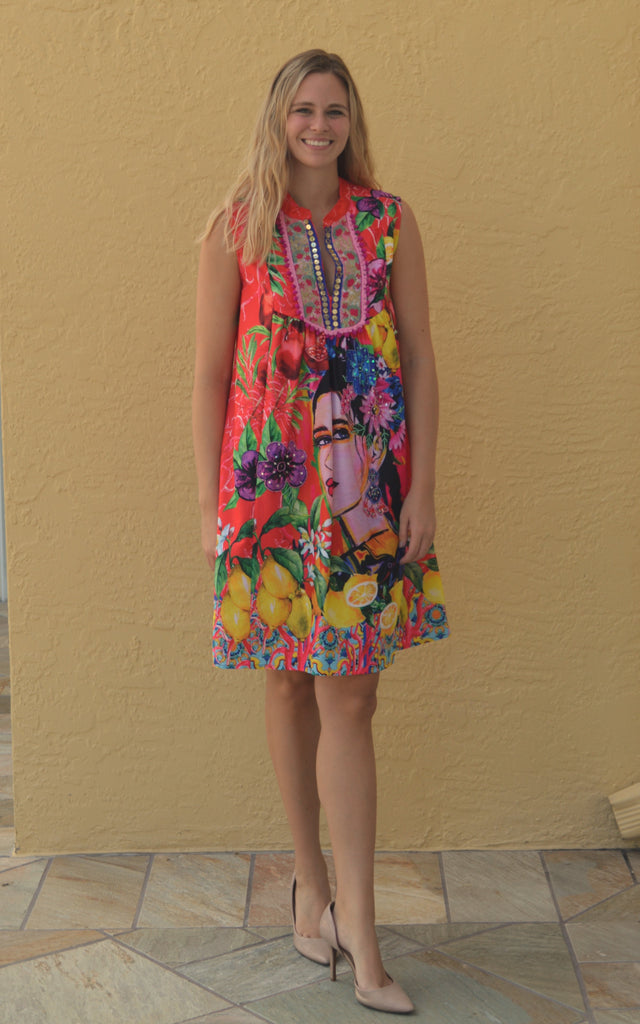 The Painted Lady Dress