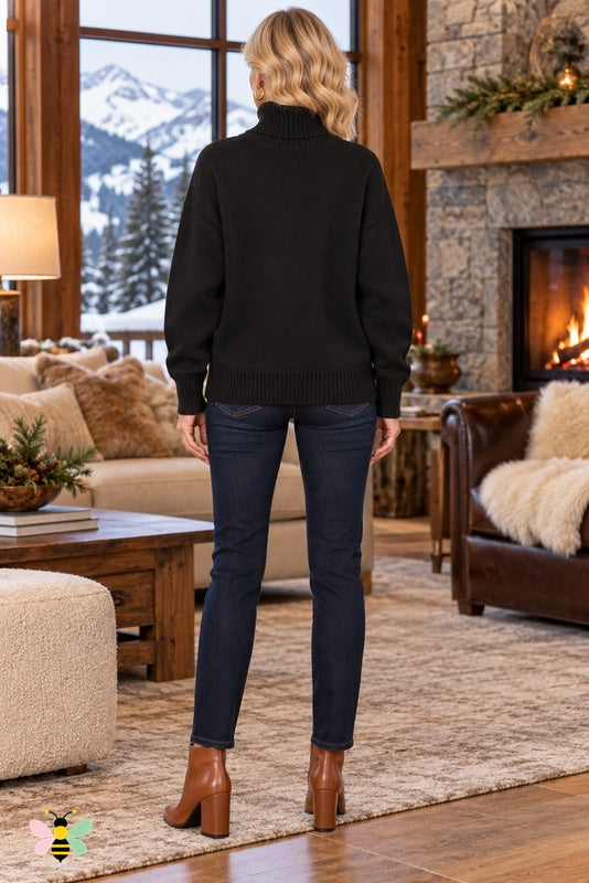 Lakeside Reverie Turtleneck | Black | back