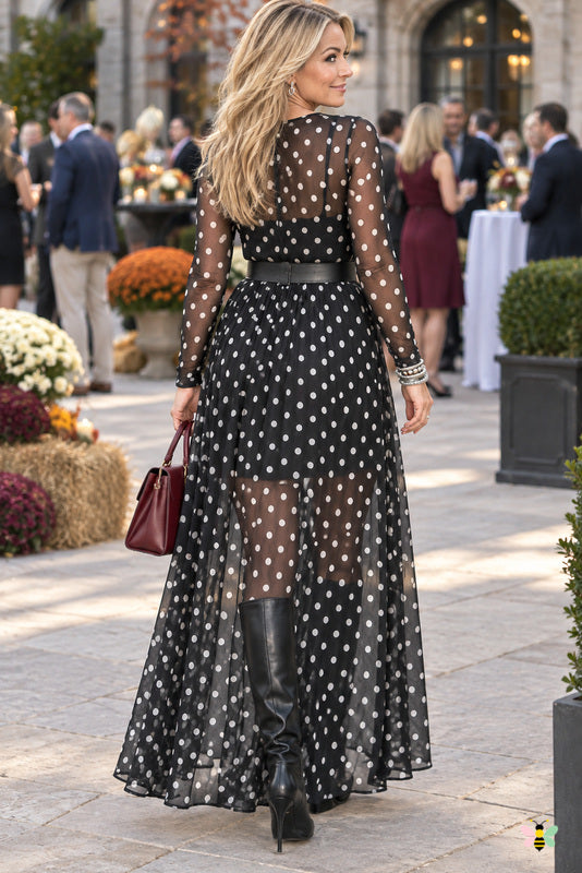 The Honor Roll Polka-Dot Mesh Maxi Dress