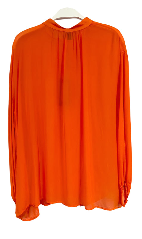 Sheer Long Sleeve Button Down Blouse