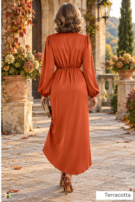 The Villa Serenade Draped Satin Dress | Terracotta | back